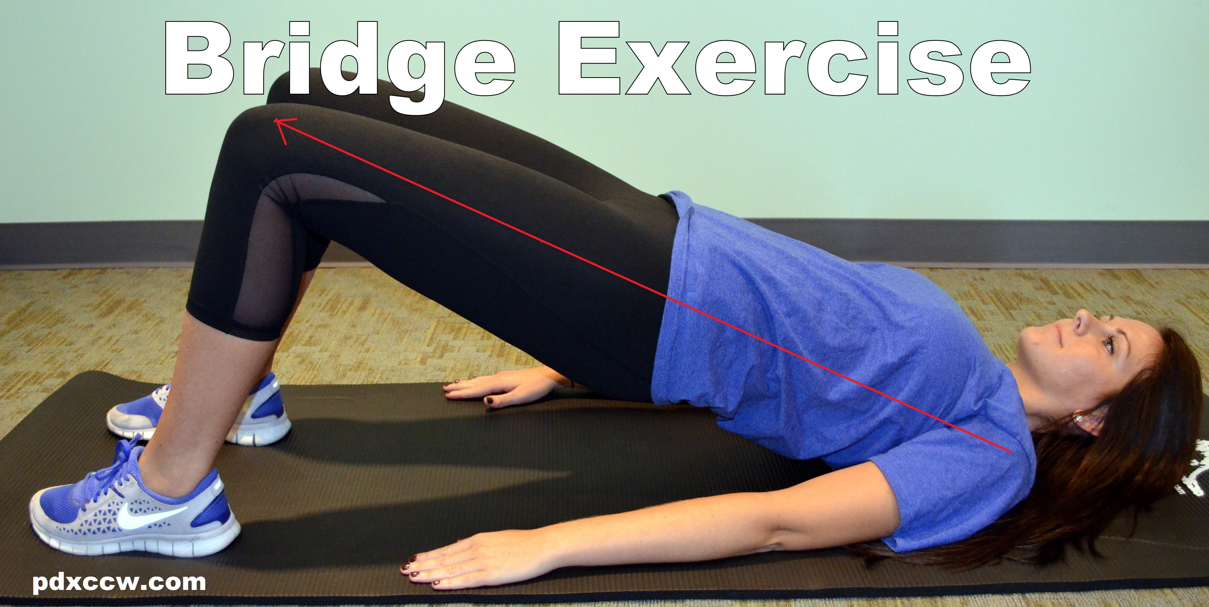 Back Bridge Exercise Back Bridge Exercise