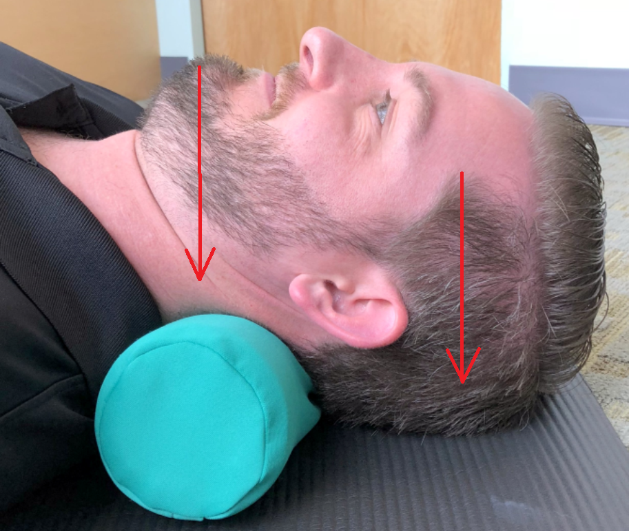 Chiropractic foam neck roll sale